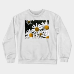 Giant Daisies Crewneck Sweatshirt